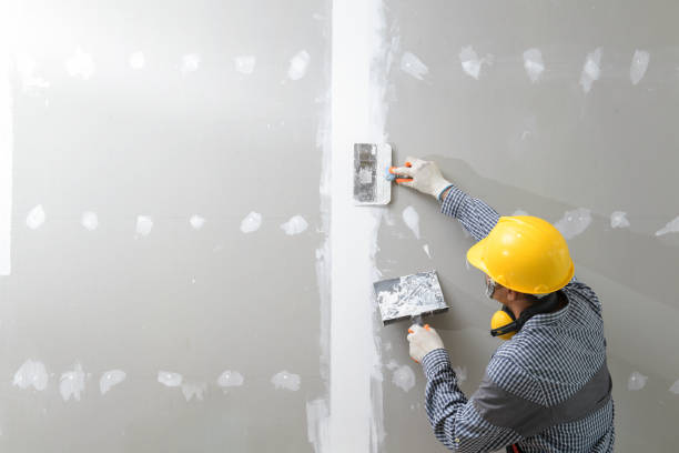 Best Mold Prevention Services  in Baldwyn, MS