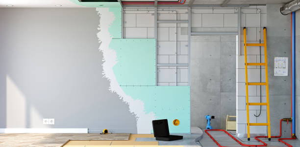 Best Real Estate Mold Inspection  in Baldwyn, MS