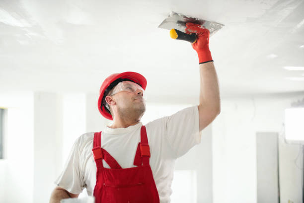 Best Residential Mold Inspection & Testing  in Baldwyn, MS