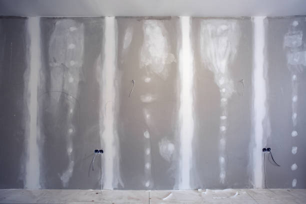 Best Biohazard Mold Removal  in Baldwyn, MS