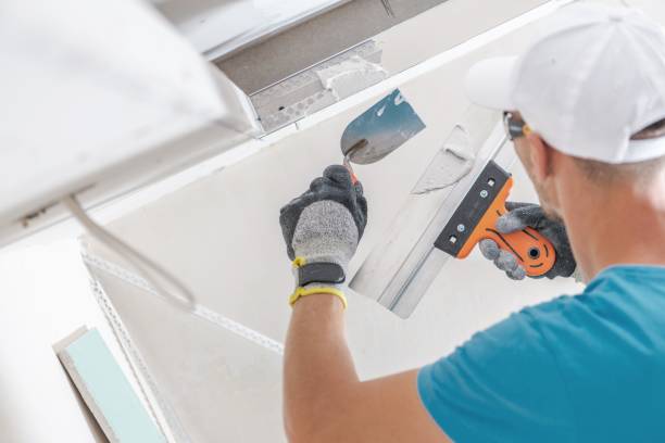 Best Forensic Mold Investigation  in Baldwyn, MS